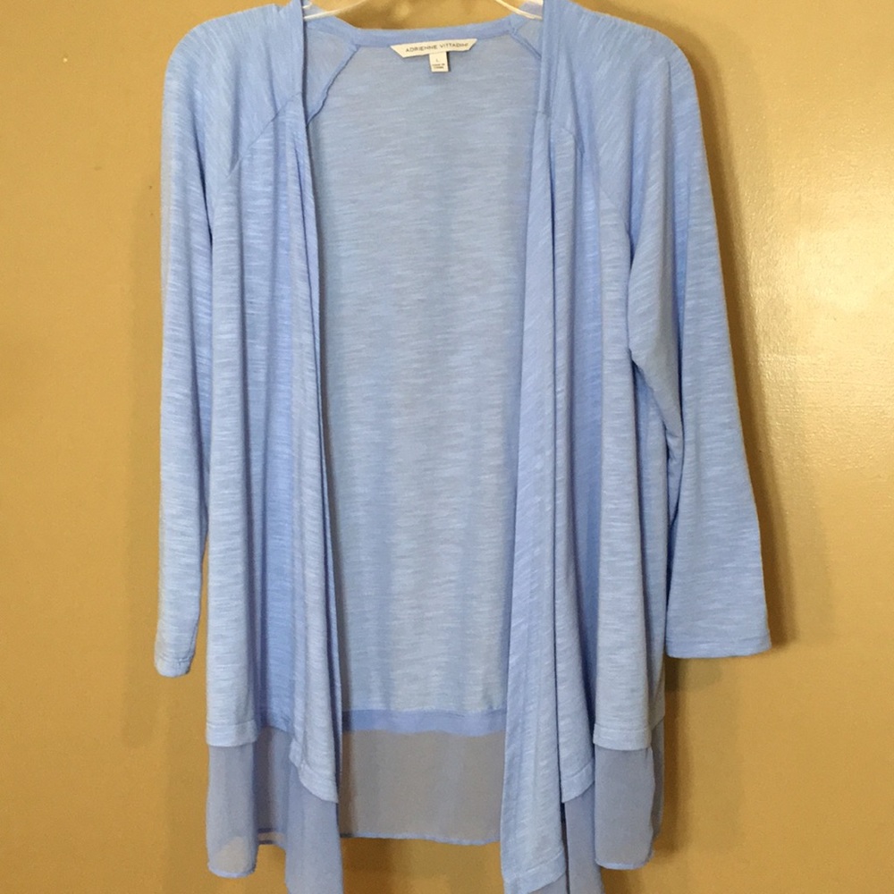 Adrienne Vittadini - baby blue light sweater